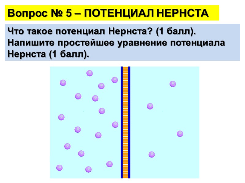 Вопрос № 5 – ПОТЕНЦИАЛ НЕРНСТА Что такое потенциал Нернста? (1 балл). Напишите простейшее